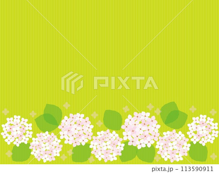 紫陽花 フレーム ストライプ 白色 紫陽花 フレーム ストライプ 白色 113590911