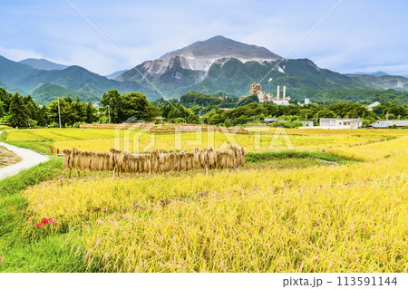 埼玉・秩父 秋の寺坂棚田 埼玉・秩父 秋の寺坂棚田 113591144