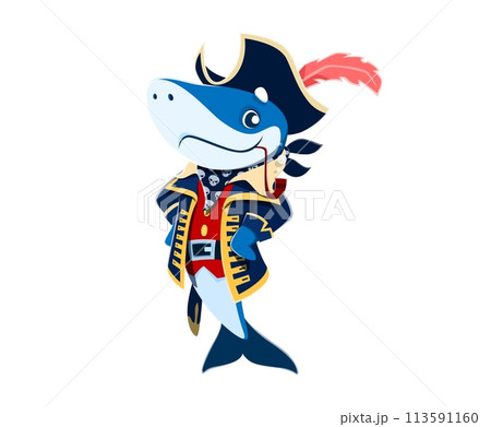 Cartoon shark animal captain or pirate corsair character with smoking pipe, vector funny sailor. Shark captain in pirate tricorne hat and sailor skull bandanna for kids Caribbean pirate character 113591160