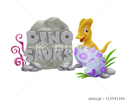 Cartoon dino kid with egg, funny dinosaur character. Isolated vector cute baby dino sitting in broken egg shell and text dinosaur on stone plate. Lovely newborn child dragon, jurassic era cute monster 113591164