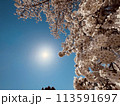 青空に映える樹氷 113591697