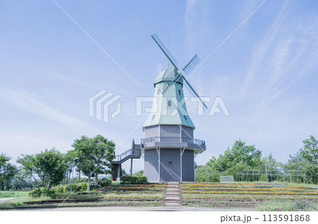 茨城　霞ヶ浦総合公園（土浦市） 113591868