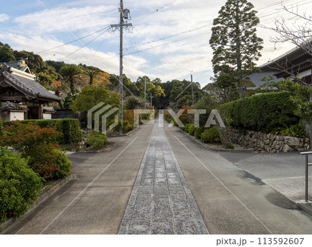 静岡県湖西市の本興寺参道 静岡県湖西市の本興寺参道 113592607