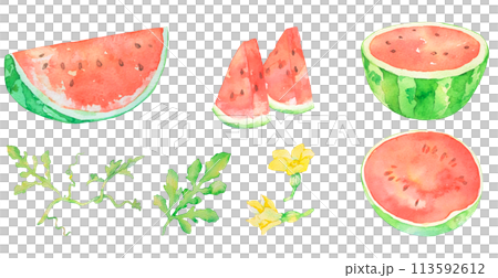 すいか　スイカの水彩イラスト　夏　果物　カットイラスト　イラストセット 113592612