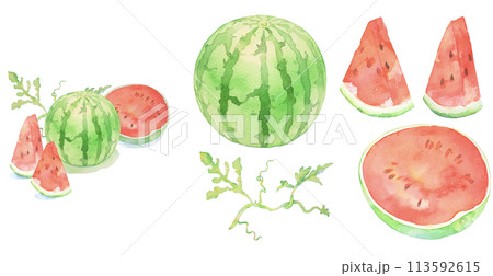 すいか　スイカの水彩イラスト　夏　果物　カットイラスト　イラストセット 113592615