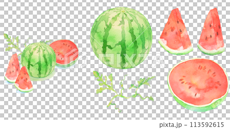 すいか　スイカの水彩イラスト　夏　果物　カットイラスト　イラストセット 113592615