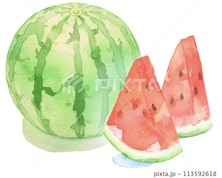 水彩で描いた美味しそうなスイカのイラスト 水彩で描いた美味しそうなスイカのイラスト 113592618