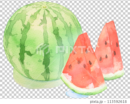 Delicious watercolor illustration of watermelon 113592618