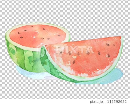 Delicious watercolor illustration of watermelon 113592622
