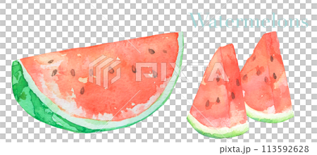 Delicious watercolor illustration of watermelon 113592628