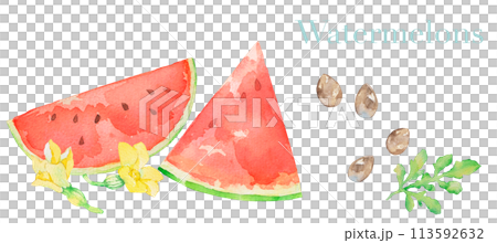 すいか スイカの水彩イラスト 夏 果物 カットイラスト すいか スイカの水彩イラスト 夏 果物 カットイラスト 113592632