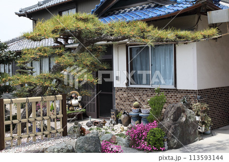 門かぶり松のある民家の庭園 113593144