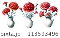 白い花瓶に入った赤いカーネーションの水彩イラストの素材セット 113593496