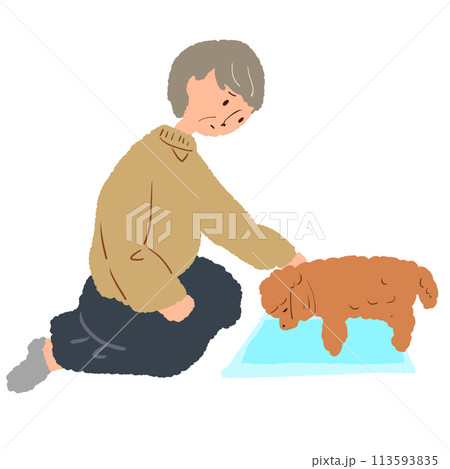 犬を介護するシニア女性 113593835