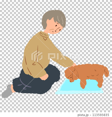 犬を介護するシニア女性 113593835