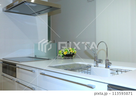 システムキッチン（新築住宅） 113593871