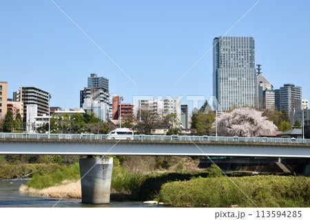 仙台の桜 113594285