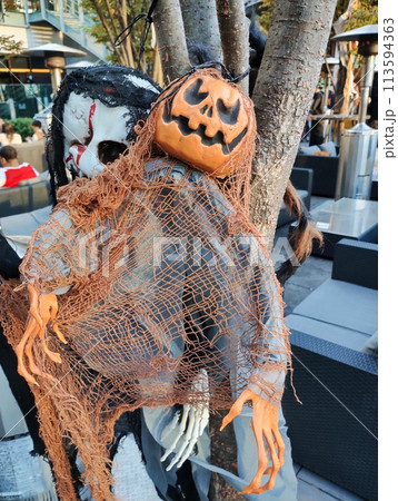 ハロウィンで出て来たかぼちゃのお化け 113594363