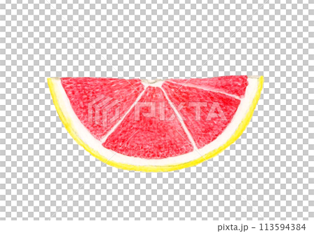 水果切粉紅柚子手繪水彩插畫素材 113594384