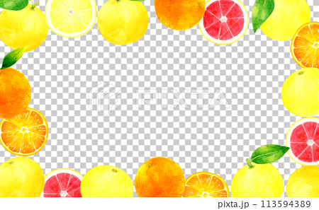 オレンジとグレープフルーツの背景　果物の手描き水彩イラスト素材 113594389