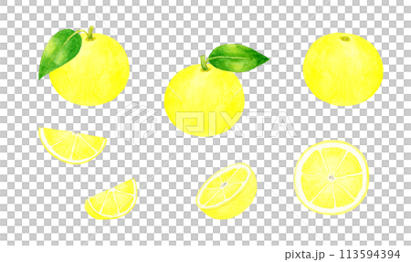 Grapefruit set Hand-drawn watercolor illustration of fruit 113594394