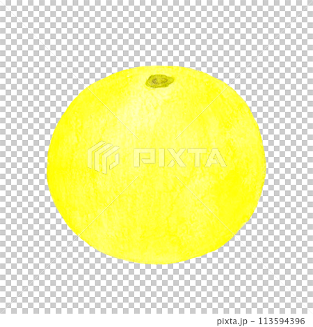 柚子果手繪水彩插畫素材 113594396