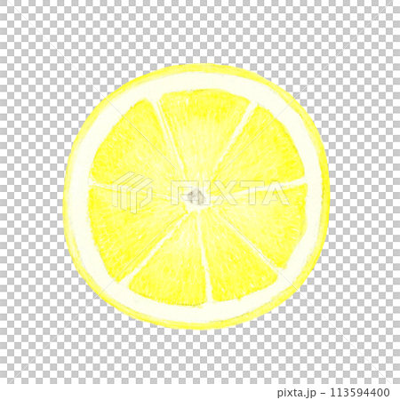 半分にカットしたグレープフルーツ　フルーツの手描き水彩イラスト素材 113594400