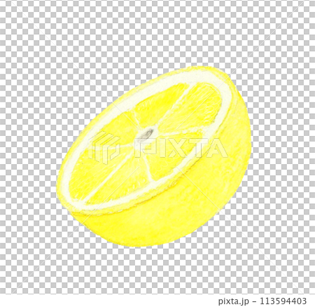 葡萄柚切成兩半-手繪水彩插圖的水果 113594403