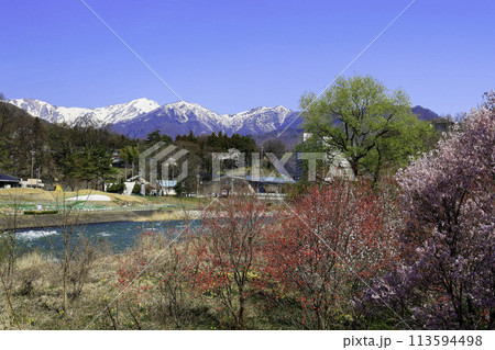 花桃と桜と谷川連峰 花桃と桜と谷川連峰 113594498