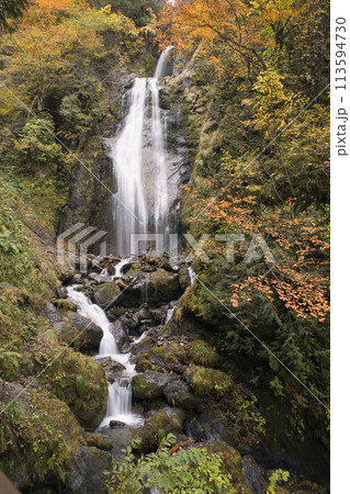 紅葉に包まれた滝 紅葉に包まれた滝 113594730
