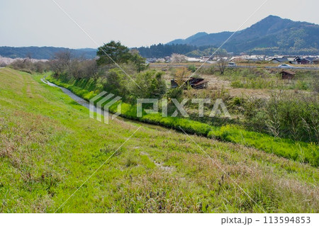 桜咲くのどかな川の風景 桜咲くのどかな川の風景 113594853