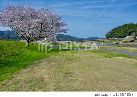 桜咲くのどかな川の風景 桜咲くのどかな川の風景 113594857