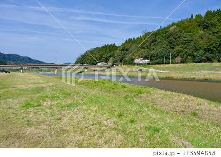 桜咲くのどかな川の風景 桜咲くのどかな川の風景 113594858