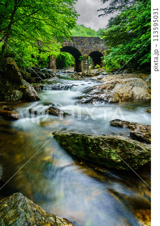 West Fork Pigeon River 113595031