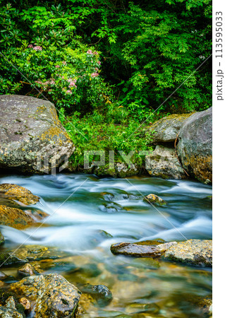 Small creek in Maggie Valley Small creek in Maggie Valley 113595033
