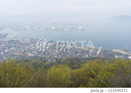 新緑　高松市街並みと瀬戸内海(香川県高松市屋島山上からの眺望) 113595571