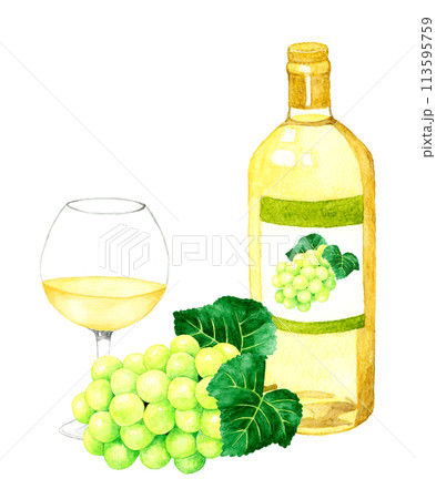 白ワインのボトルとワイングラス　飲み物（お酒）の手描き水彩イラスト素材 113595759