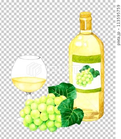 白ワインのボトルとワイングラス　飲み物（お酒）の手描き水彩イラスト素材 113595759
