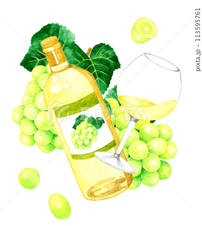 白ワインのボトルとワイングラス　飲み物（お酒）の手描き水彩イラスト素材 113595761