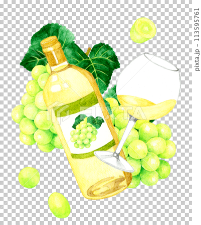 白ワインのボトルとワイングラス　飲み物（お酒）の手描き水彩イラスト素材 113595761