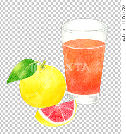 Grapefruit juice (pink grapefruit) Hand-drawn watercolor illustration of a drink 113595782