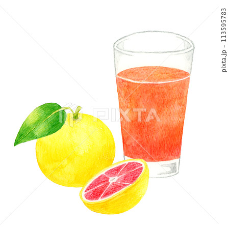 グレープフルーツジュース(ピンクグレープフルーツ) 飲み物の手描き水彩イラスト素材 グレープフルーツジュース(ピンクグレープフルーツ) 飲み物の手描き水彩イラスト素材 113595783
