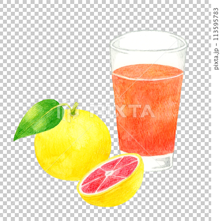Grapefruit juice (pink grapefruit) Hand-drawn watercolor illustration of a drink Grapefruit juice (pink grapefruit) Hand-drawn watercolor illustration of a drink 113595783