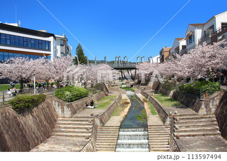 延伸開業した北大阪急行電鉄新駅箕面萱野駅の駅前広場と桜並木 延伸開業した北大阪急行電鉄新駅箕面萱野駅の駅前広場と桜並木 113597494