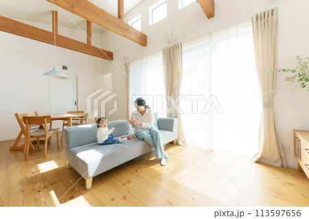 マイホームでくつろぐ親子 113597656
