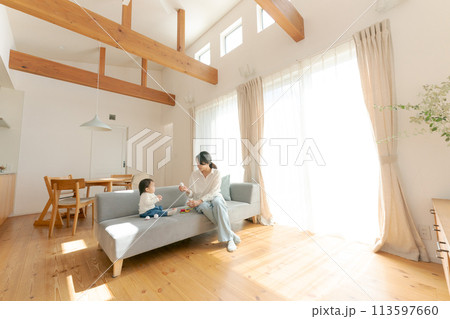 マイホームでくつろぐ親子 113597660