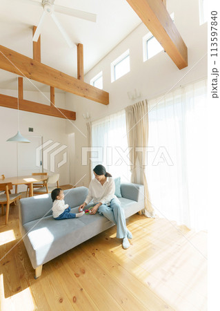 マイホームでくつろぐ家族 113597840