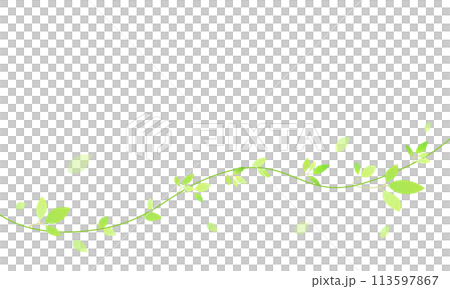 fresh green frame 113597867