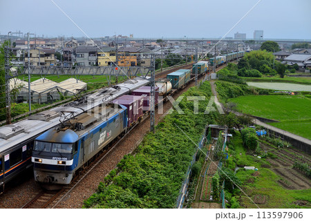 東海道本線を走るEF210-105コンテナ貨物列車 113597906