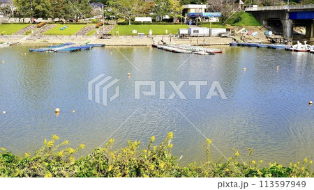 千葉県市原市の高滝湖の湖畔 113597949